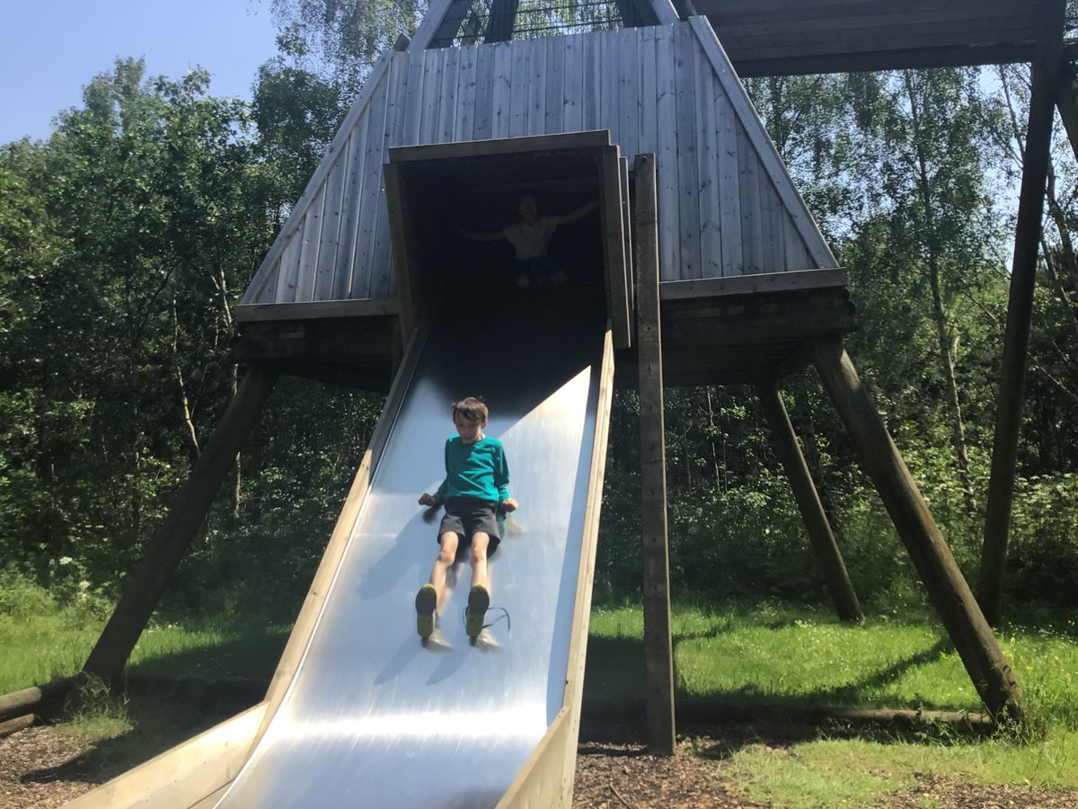 Albert Bradbeer tweet media