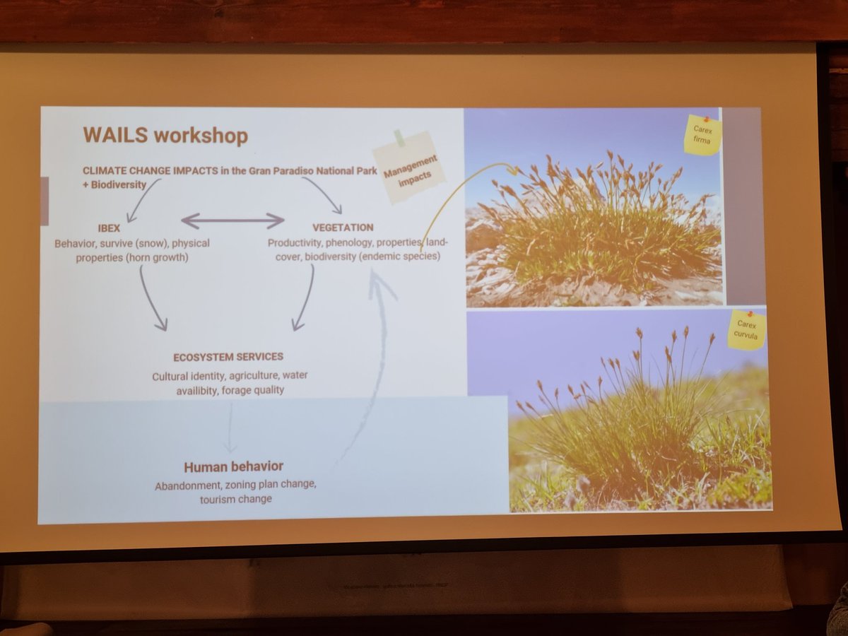 GioMatLTER's tweet image. Impressive products at the .@eLTER_Europe #WAILS workshop from the Biogeochemistry, Social-Ecology, Biodiversity and Climate Change challenges working groups!
And now heading off to .@ICOS_Italy .@ICOS_RI Col de Nivolet site!
@lteritaly @LTER_Slovenia @CNRsocial_ @bengurionu