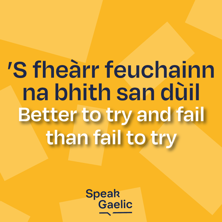 Deagh chomhairle an seo 🙌

Literally: It’s better to try than to be in expectation

Ionnsaich tuillleadh 👉 speakgaelic.scot/level/pastimes/