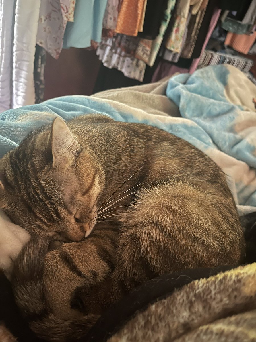 LucidDahlia on Twitter: