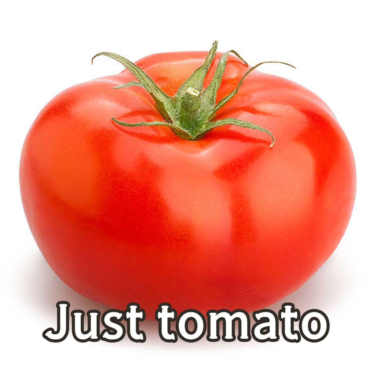 The youngest, 18 y/o tomato!

About tomato:
🔹 Highest ranking in KR server #80
🔹 Having PTSD for Winston cause he didn't play well before(?)
🔹 TOMATO
twitch.tv/hope4673/clip/…