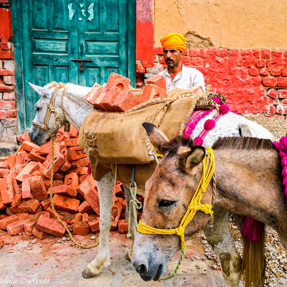 mridulablog's tweet photo. On day 19 of the 30 day challenge let's go to Pragpur and Garli in Himachal Pradesh. Both the towns are charming and have a lot of character. My trip was a short one, my memories fleeting. 

#pragpur #garli #himachalpradesh #incredibleindia #30daychallenge https://t.co/KPZhHvWhGx