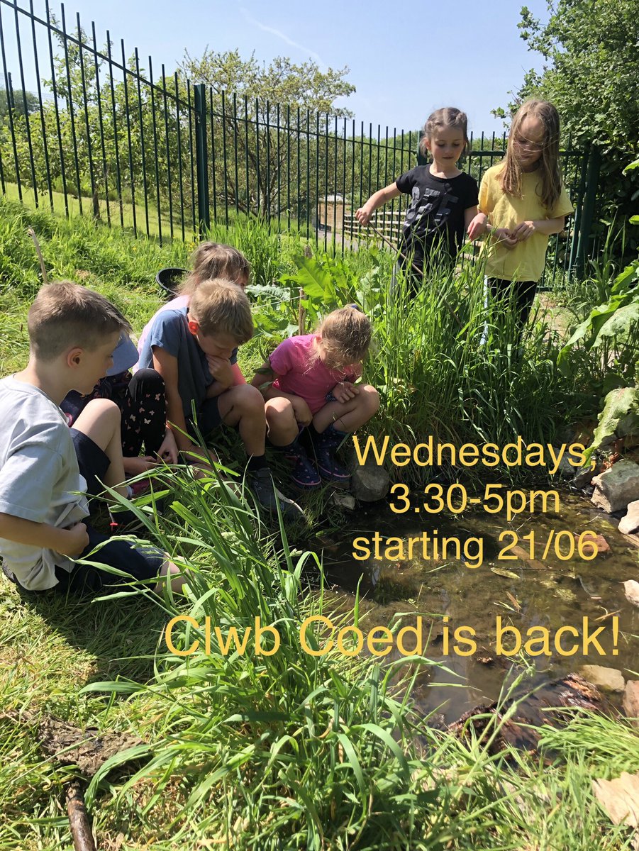 ⁦<a href="/ysgoliolo/">Ysgol Iolo Morganwg</a>⁩ Clwb Coed is back on 21st June. Open to children from Bl2-6, 3.30-5pm. £50 for half a term (inc. snack). Play, explore, create, have fun! Go to bookwhen.com/wildfire to book