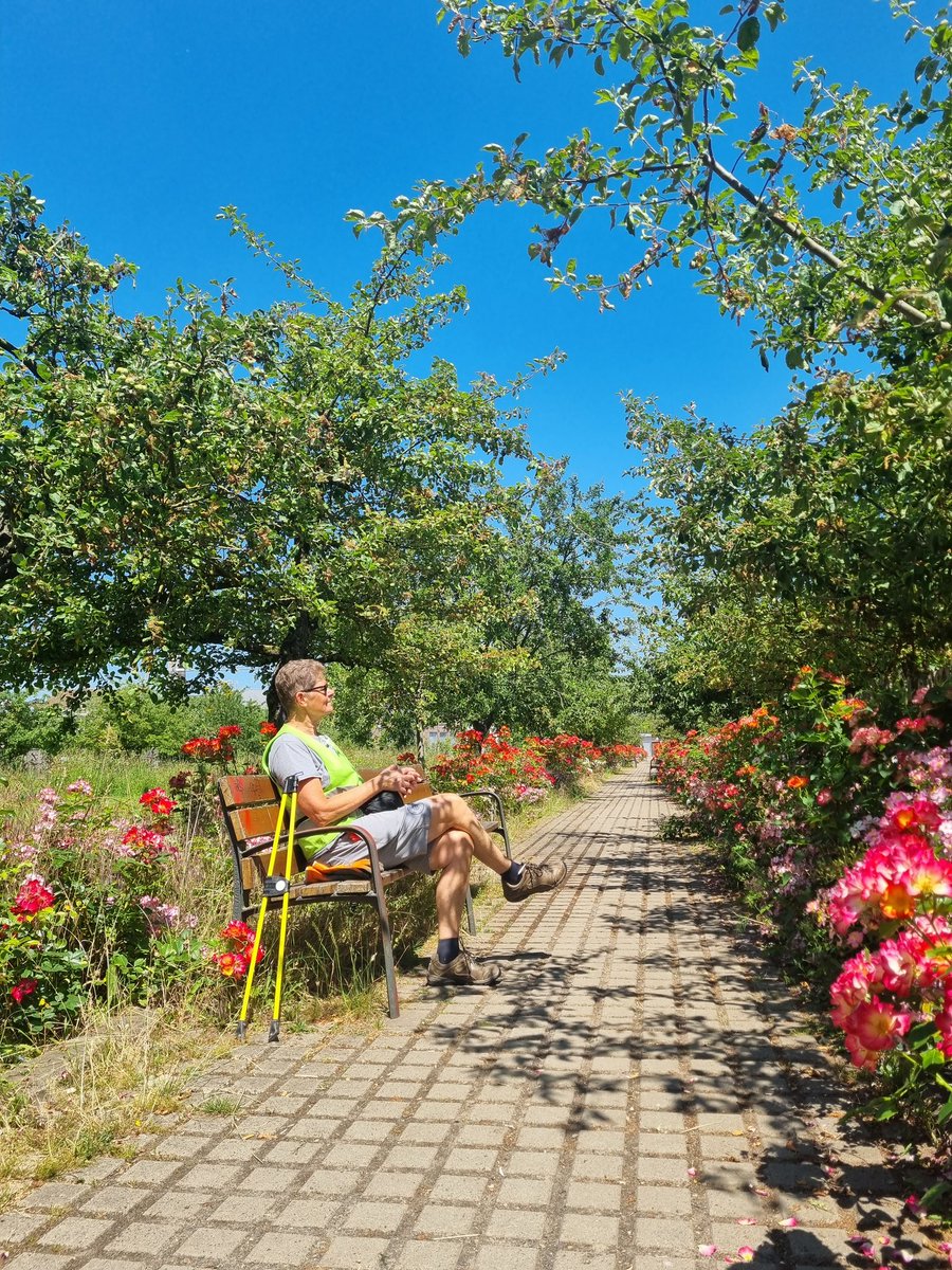 grietdr's tweet photo. #vrtweer #Oudenaarde 12:40 uur, 26°C https://t.co/OSJDgUDsTU