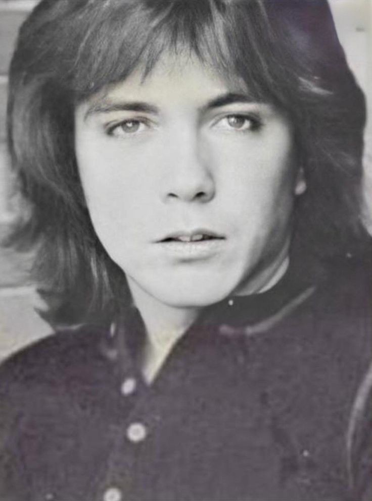 jessbythebsb's tweet photo. No words.. 💖💖💖💖💖💖💖 #DavidCassidy #love #sexyseriouslook  #perfection #extracute https://t.co/tXjkd9QoOs
