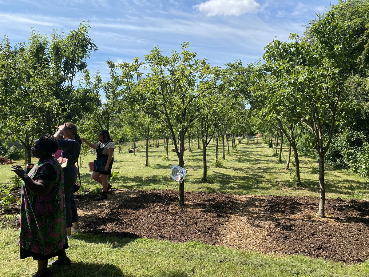 matt_leach's tweet photo. What an orchard! #GROWE https://t.co/hsYj8lJX9Z