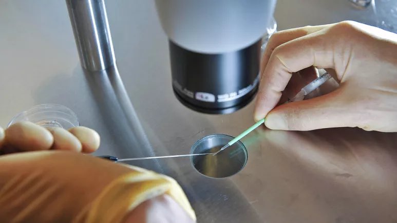 Cambridge Üniversitesi ve California Teknoloji Enstitüsü'nden Bilim insanları, kök hücre kullanarak sentetik insan embriyosu üretti. Bu gelişmenin, yumurta ya da sperm ihtiyacını ortadan kaldıracağı belirtildi. @abdullahciftcib