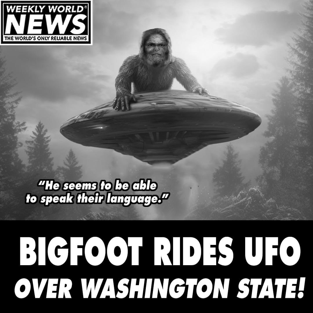 morbs-on-twitter-ufoguy3106-that-ufo-chick-https-t-co-nkysjfji9v