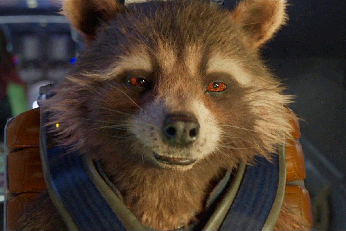 What a sensational smile he has 😊
How could anyone not love him ❤️
#RocketRaccoon