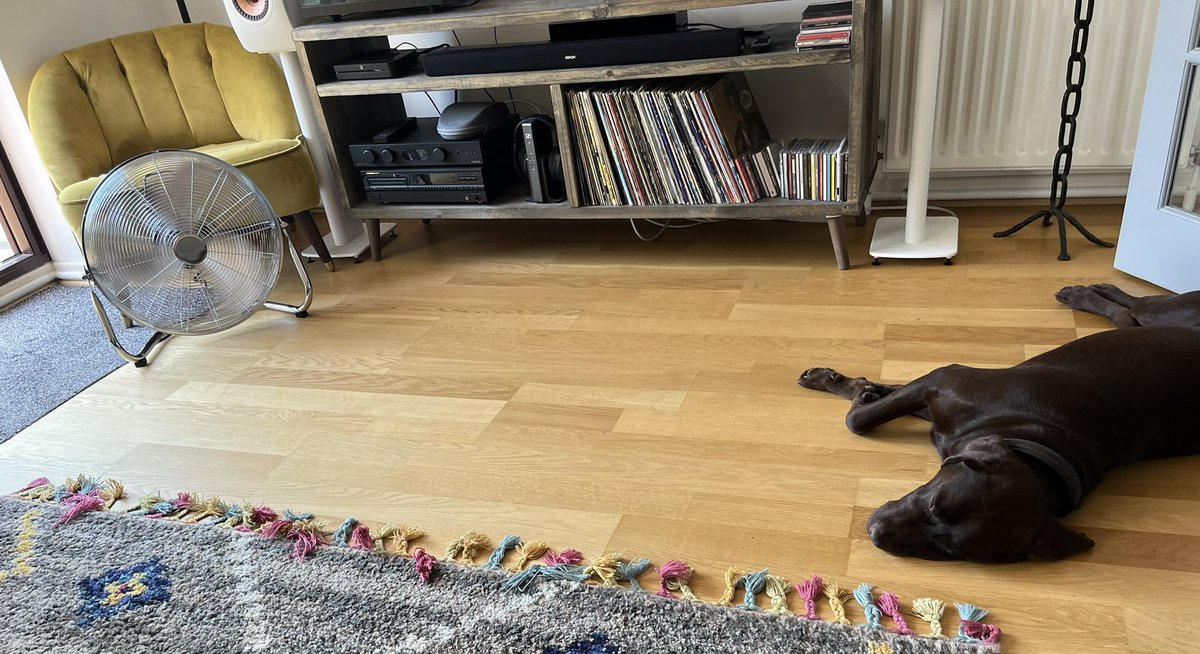 lyndamcar10's tweet photo. Hogging the fan . #toohotfordogs #chocolatelabrador https://t.co/bcPTrhotVv