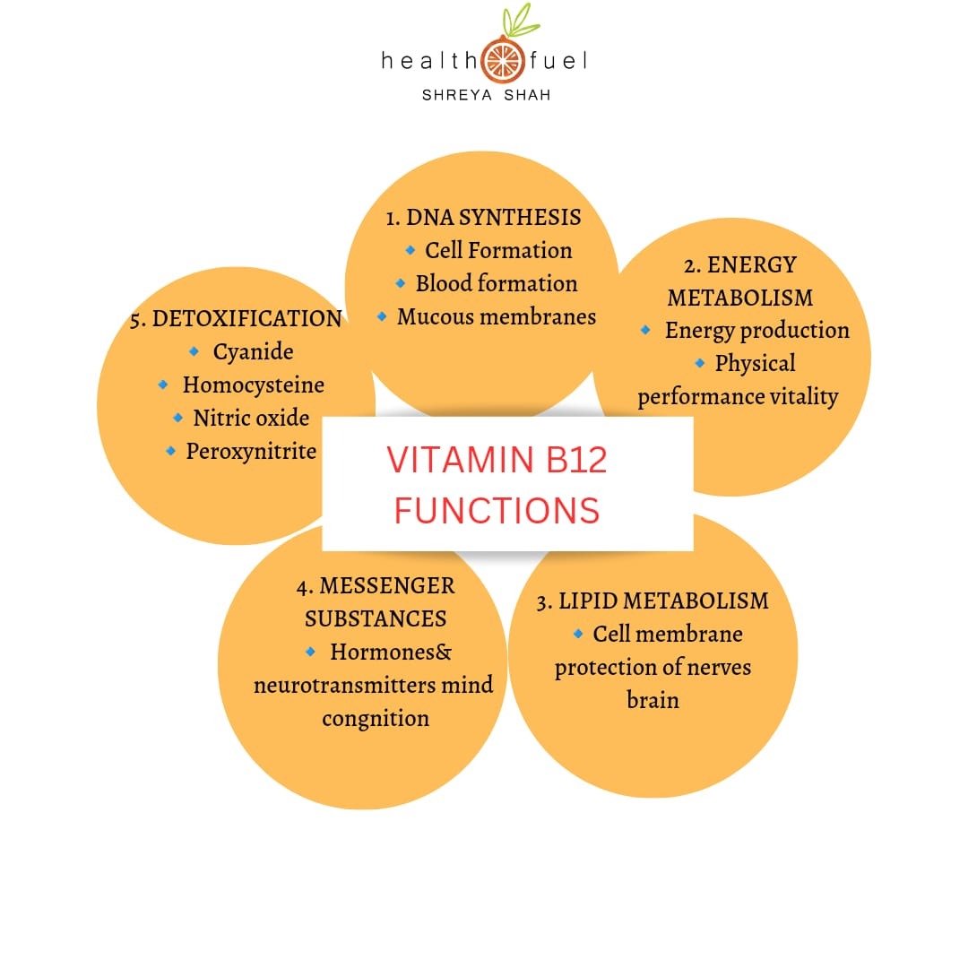 🔸Functions of Vitamin B12

1️⃣Synthesis of DNA – the vitamin influences cell division and blood formation

2️⃣Energy metabolism – B12 is vital for energy production in the mitochondria