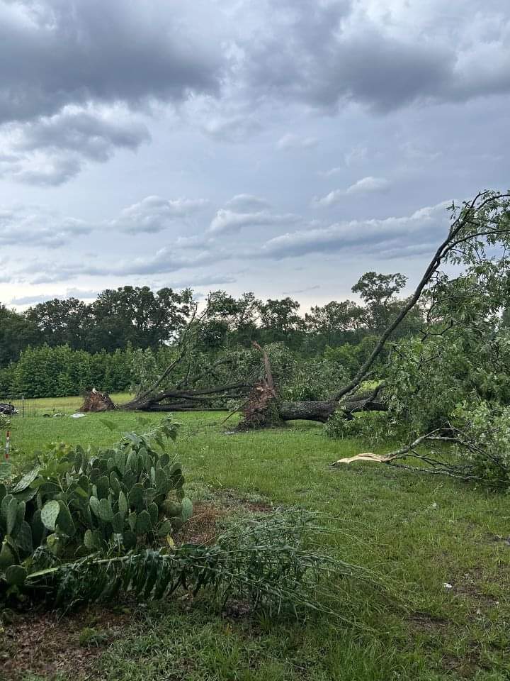 mattdjonesTV's tweet photo. The National Weather Service has confirmed that it was EF2 tornado with top wind speeds of 120 mph that tore through Cass County Texas on Wednesday. Some serious damage here! @KSLA @NWSShreveport @StormHour https://t.co/wbGvIzWaCO