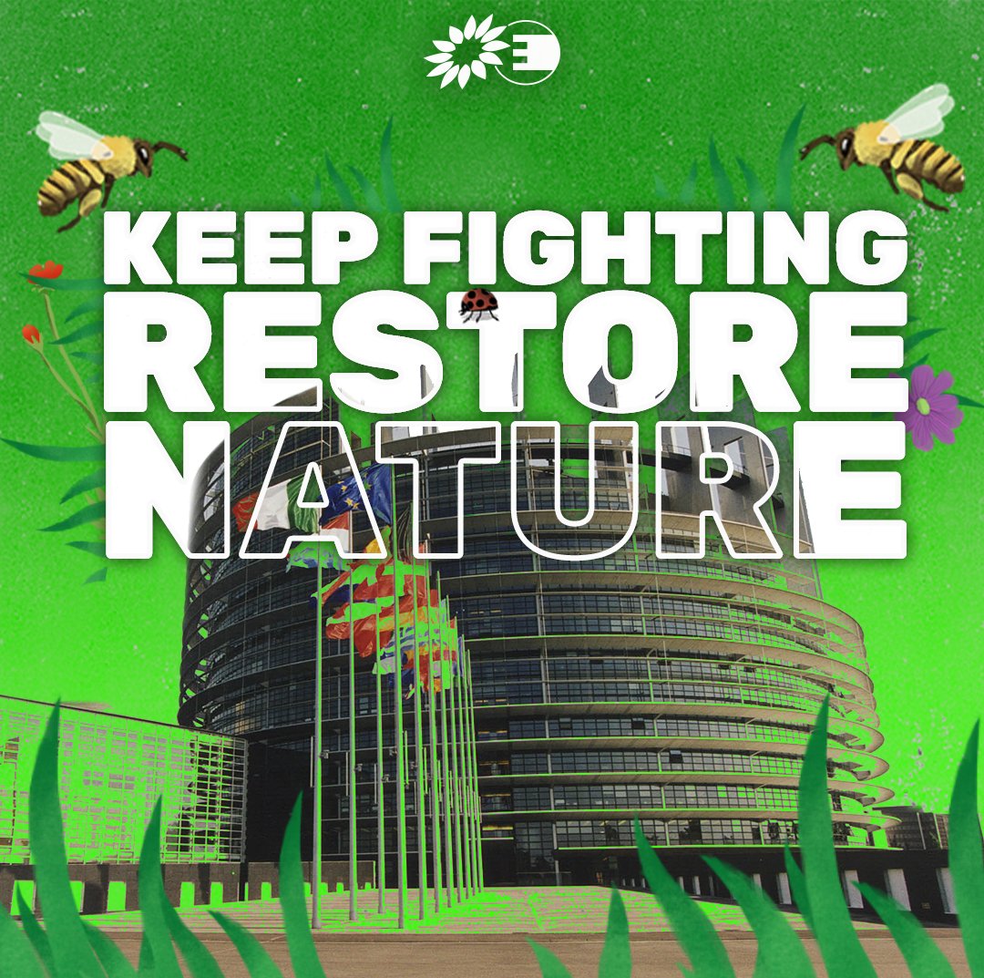 Fine Gael and their colleagues in the EPP didn't manage to reject the nature restoration law in committee and the fight goes on. 

More time to stop them derailing the #EUGreenDeal 

@GraceOSllvn and the @greenparty_ie team in Europe will keep fighting for #NatureRestoration