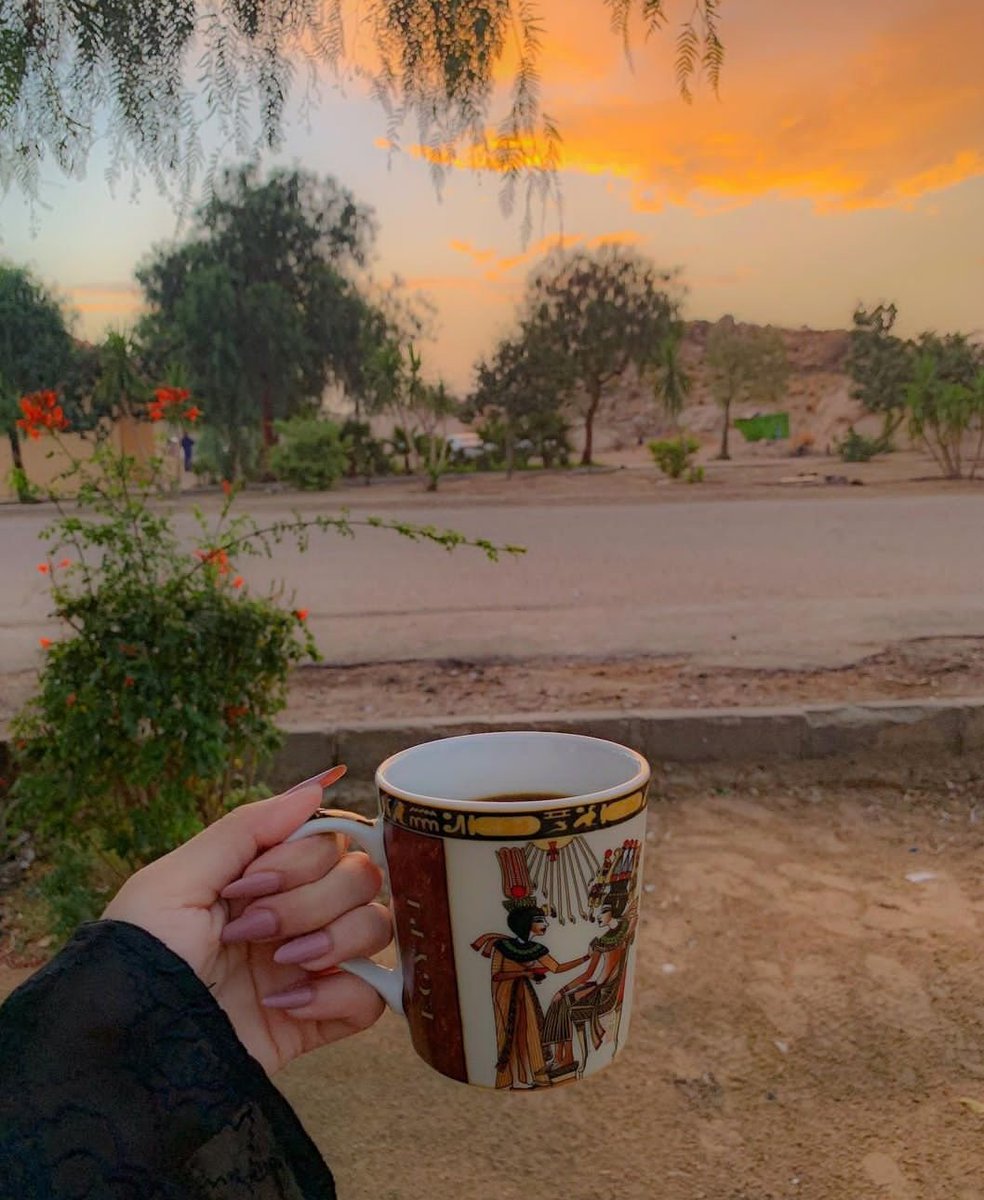 ReemALDOSSARY22's tweet image. مٌن لا توقظه رائحة القهوة لا يعرف معنى الصباح الفاخر.
هناك تفاصيل
لا تُحكى إلا لـ فنجان القهوة.
،صباح الخير

#صباح_الخيرᅠ