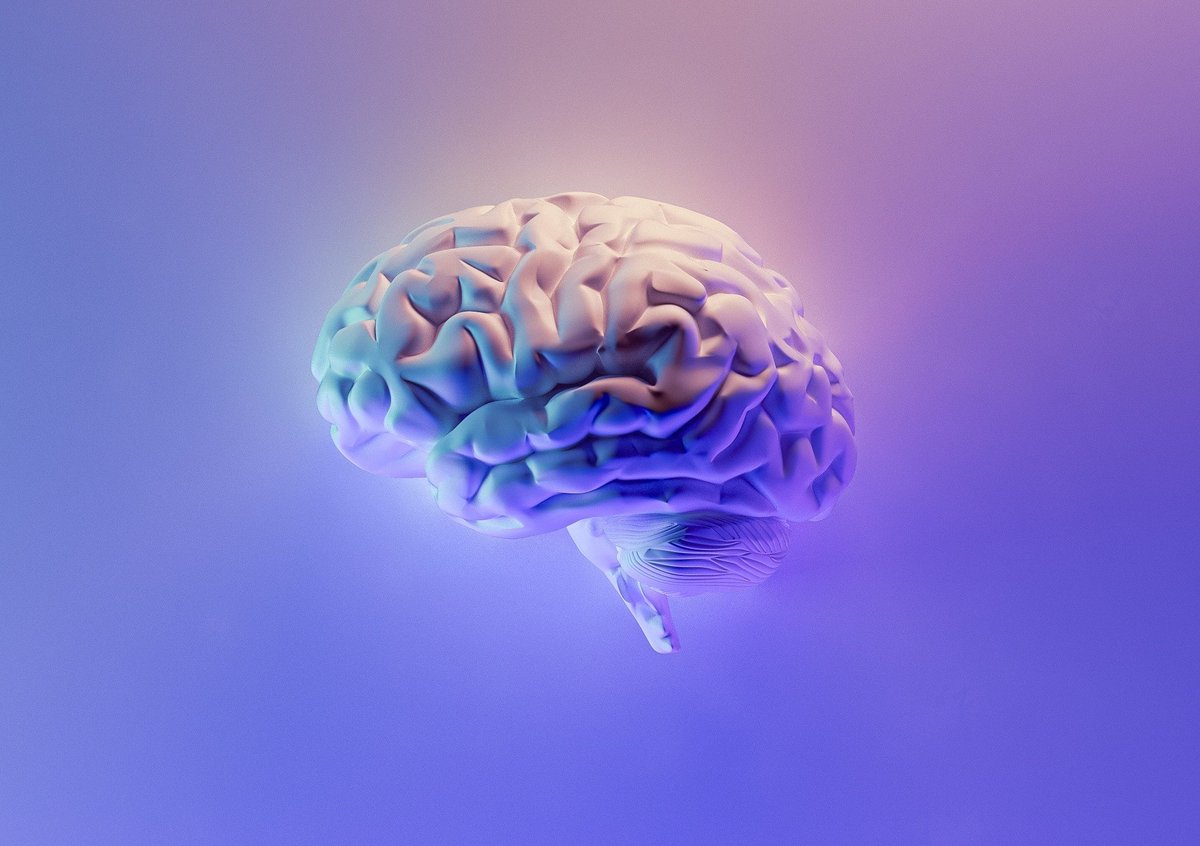 Doctoral and Researcher College, Uni of Reading (@unirdg_phd) on Twitter photo 🧠🚜 Can brain activity inform us about the neurotoxicity of agricultural compounds? Last chance to apply for this funded PhD <a href="/ReadingBioSci/">UoR BioSci</a> with Syngenta.⏰Apply by 16 June!
👉jobs.ac.uk/job/CZL321/phd… #neurotoxicity #neuropharmacology #neuroscience #pharmacology #phdscholarships 🧠🚜 Can brain activity inform us about the neurotoxicity of agricultural compounds? Last chance to apply for this funded PhD <a href="/ReadingBioSci/">UoR BioSci</a> with Syngenta.⏰Apply by 16 June!
👉jobs.ac.uk/job/CZL321/phd… #neurotoxicity #neuropharmacology #neuroscience #pharmacology #phdscholarships