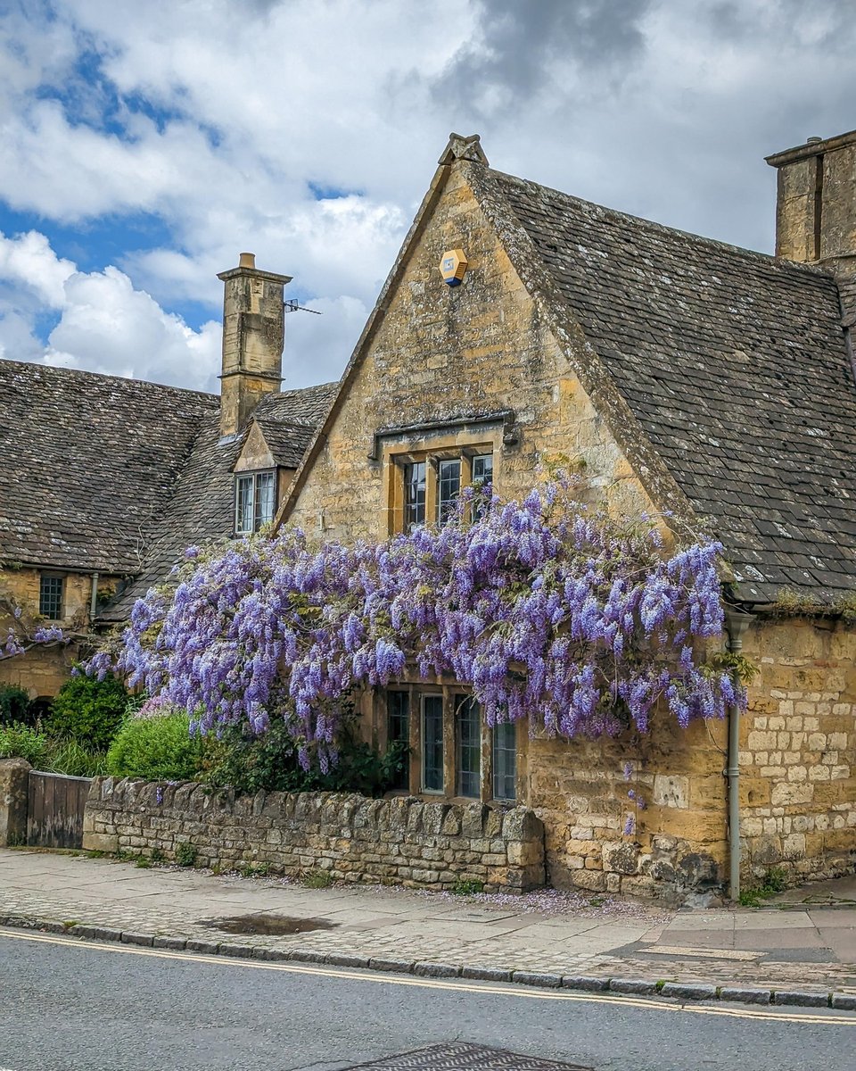 Have you seen the wisteria on Broadway High Street yet? 😍

TAG someone who would LOVE this!

📸 visitbroadway (IG)

📌 Save for your travels 

🌐 visitthecotswolds.uk

#visitthecotswolds #broadway #broadwaycotswolds #broadwayvillage #broadwaylife #thecotswolds #cotswolds