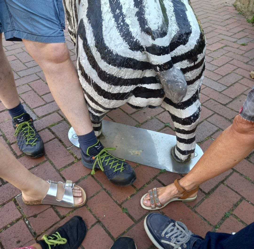 Frei_sein_NI's tweet image. 📍#Springe ➖ #Spaziergang 🗓 #D_12_06_2023

&quot;Ein Foto der Symbolik = Deutschland ist am Arsch, jedoch gibt es zum Glück noch Menschen mit Eiern die montags in vielen Städten auf der Straße sind👣. Obwohl die Hoffnung für Deutschland aussichtslos erscheint..&quot;

#FreieNiedersachsen