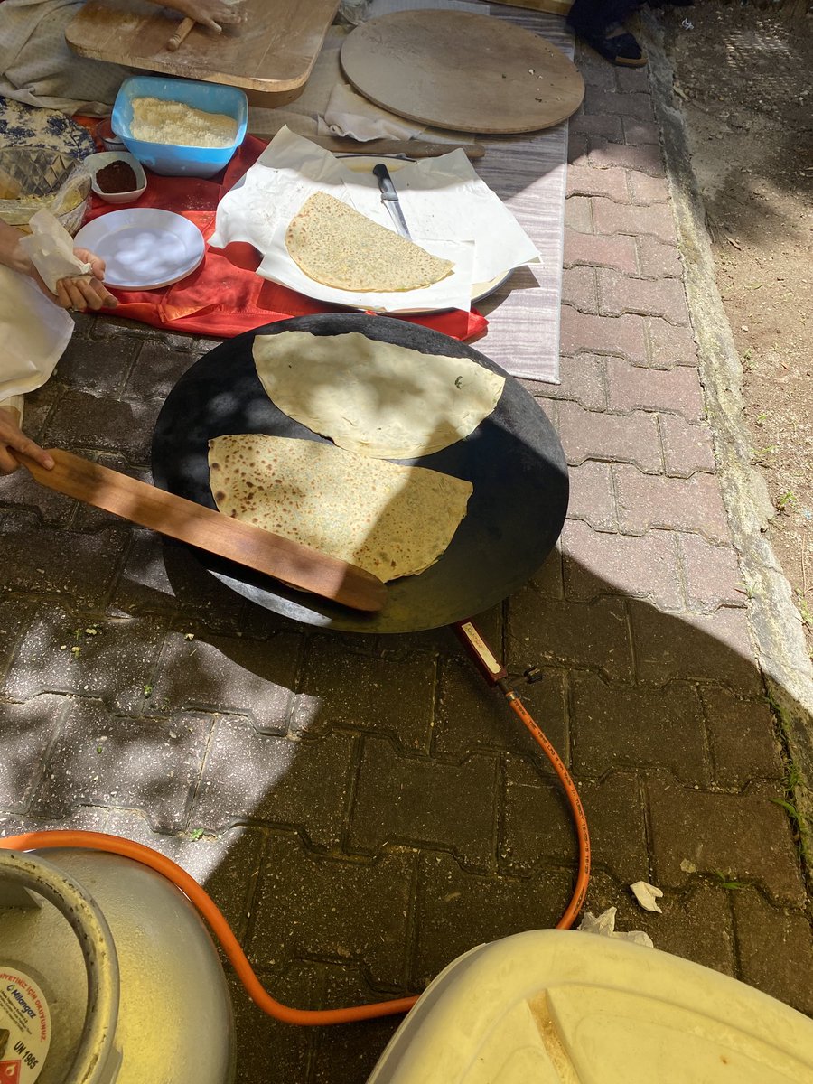 Bugün gözleme günü.