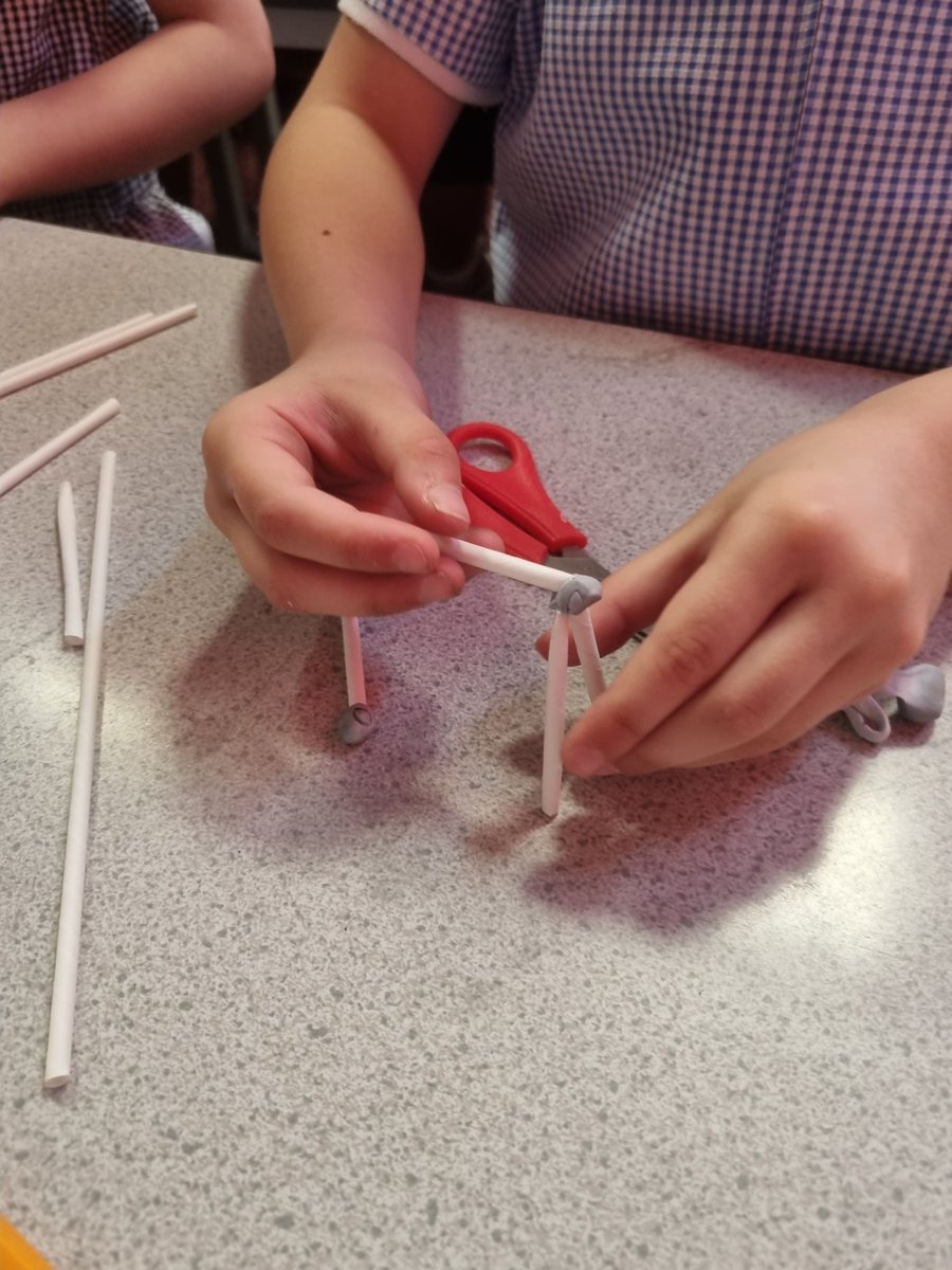 ABCPschool's tweet photo. #Class34P have constructed 3D shapes using art straws and blue tack, practising naming the shapes and their number of edges, vertices and faces! #ABMaths https://t.co/LGcskz6vlN