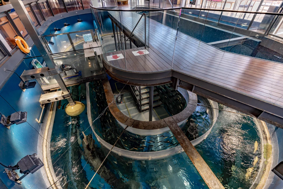 山梨県にはすっげー階段が．．．発見されました‼