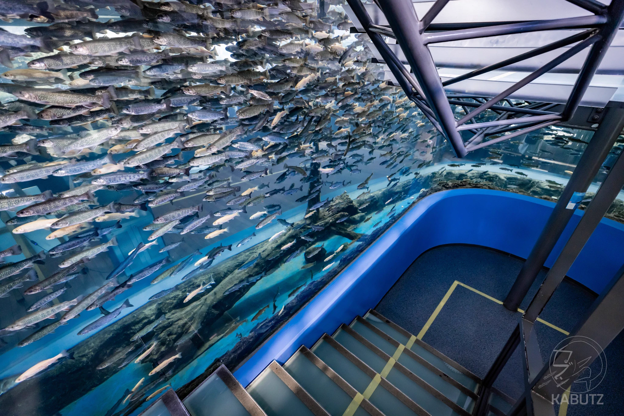 山梨県にはすっげー階段が．．．発見されました‼