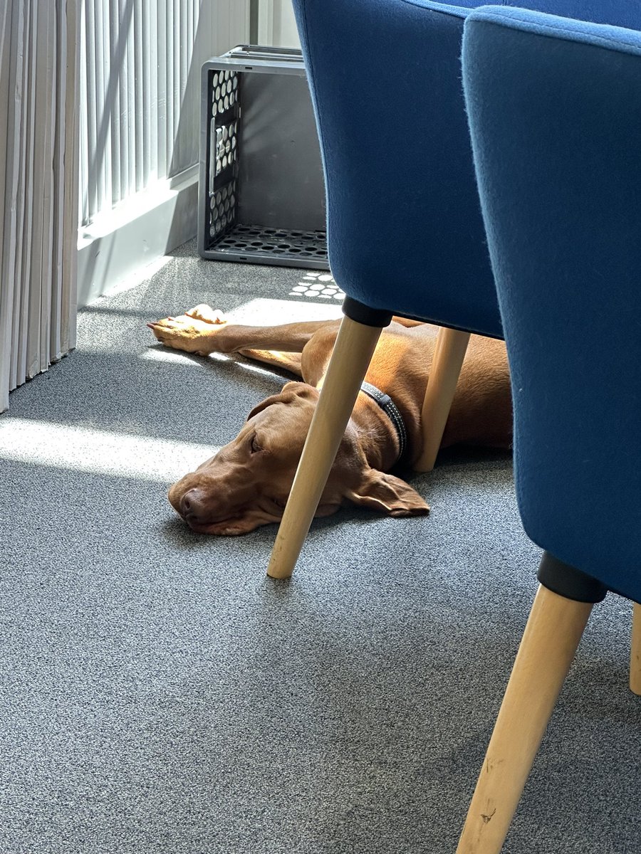 Richard Harvey tweet media