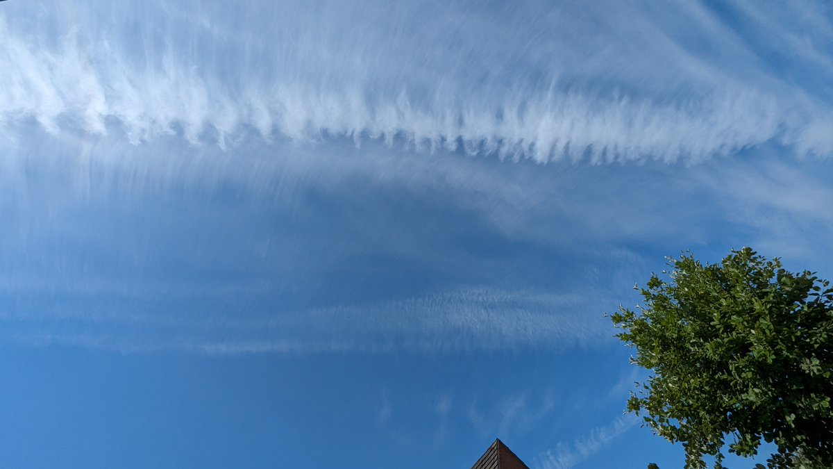 Shells_Travels's tweet image. Some interesting clouds in Sandbach, Cheshire today. Not sure what type they are? Very trippy looking though, with lots of straight, feathery lines 🤔🌫️

@BBCWthrWatchers #clouds #namethatcloud