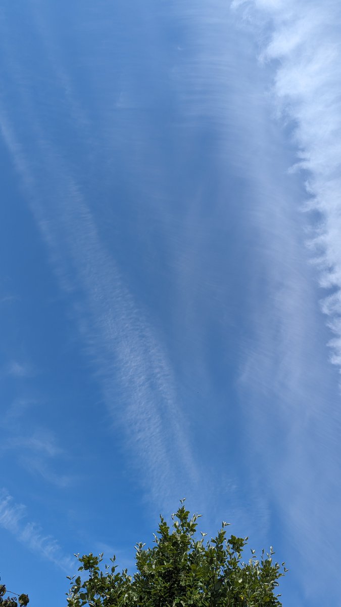 Shells_Travels's tweet image. Some interesting clouds in Sandbach, Cheshire today. Not sure what type they are? Very trippy looking though, with lots of straight, feathery lines 🤔🌫️

@BBCWthrWatchers #clouds #namethatcloud