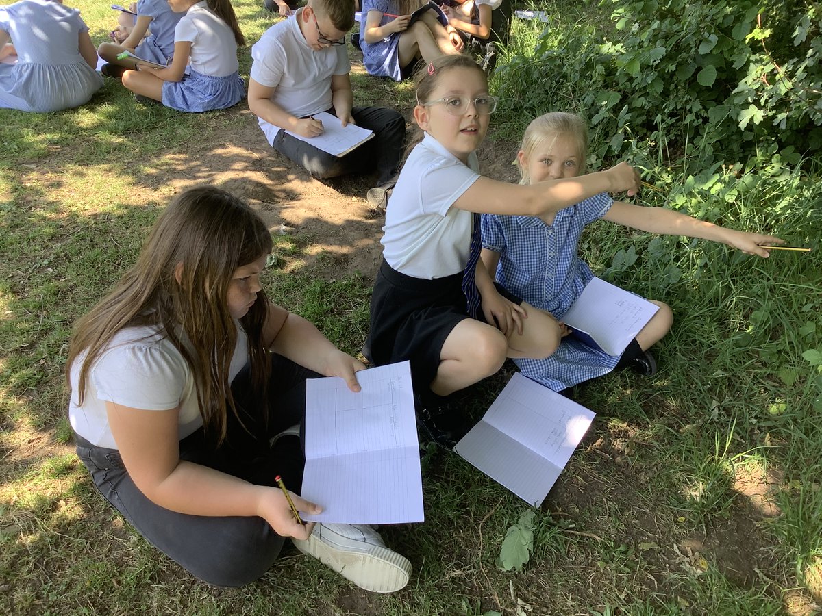 Year 4 HighStPrimary tweet media