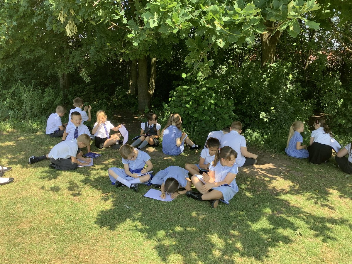 Year 4 HighStPrimary tweet media