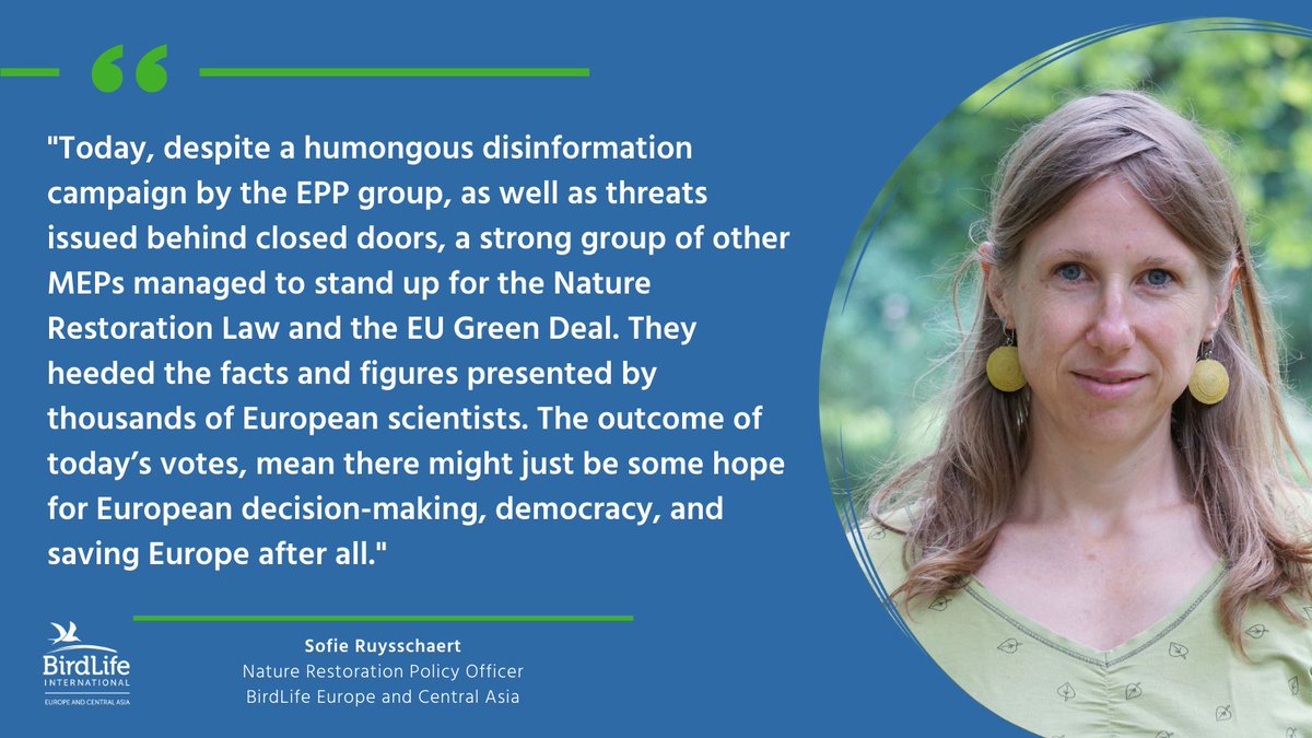 The vote on the Nature Restoration Law at <a href="/EP_environment/">ENVI Committee Press</a> this morning was not for the faint of heart. 

After a nail-biting 44:44 vote, the proposal from @EPP_Group to kill the law entirely was rejected. Moving on to the amendments, these resulted in a split on many issues.