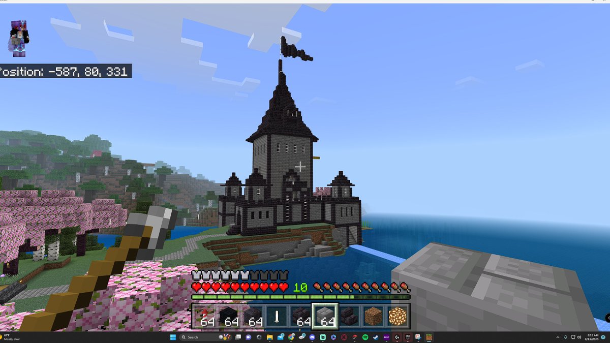 we all have that one mf friend who has to build a whole ass castle every time they play Minecraft. unfortunately that's me