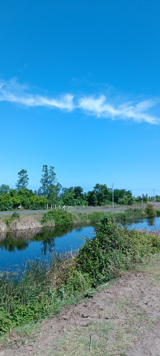 _masalgibi's tweet image. Buraya  yeşiL ve mavi&apos;nin
harika uyumunu bırakıyorum|•🌿
•
•
•

Gelsin güzel fotolar 👉👉👉

#kadrajımdan #doğa #Fotos 
#manzara #yeşil #mavi #Aşk❤️