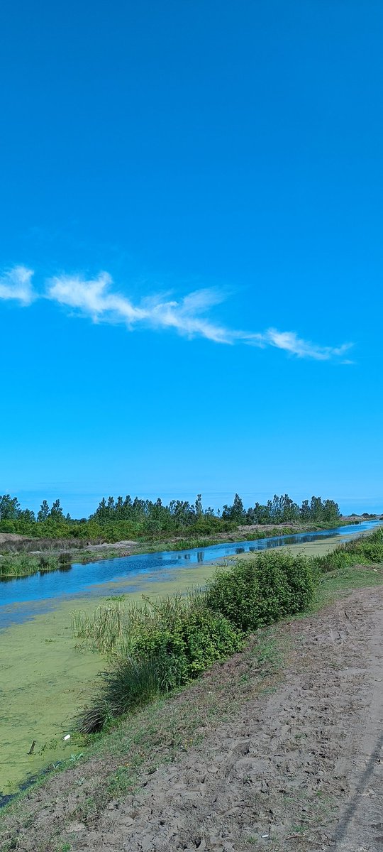 _masalgibi's tweet image. Buraya  yeşiL ve mavi&apos;nin
harika uyumunu bırakıyorum|•🌿
•
•
•

Gelsin güzel fotolar 👉👉👉

#kadrajımdan #doğa #Fotos 
#manzara #yeşil #mavi #Aşk❤️