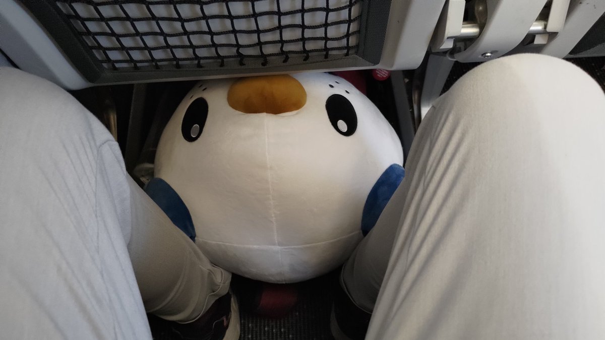 RTGameCrowd's tweet photo. The plan to smuggle Oshawott home was going great until we got onto the plane https://t.co/lSHCjUbPde