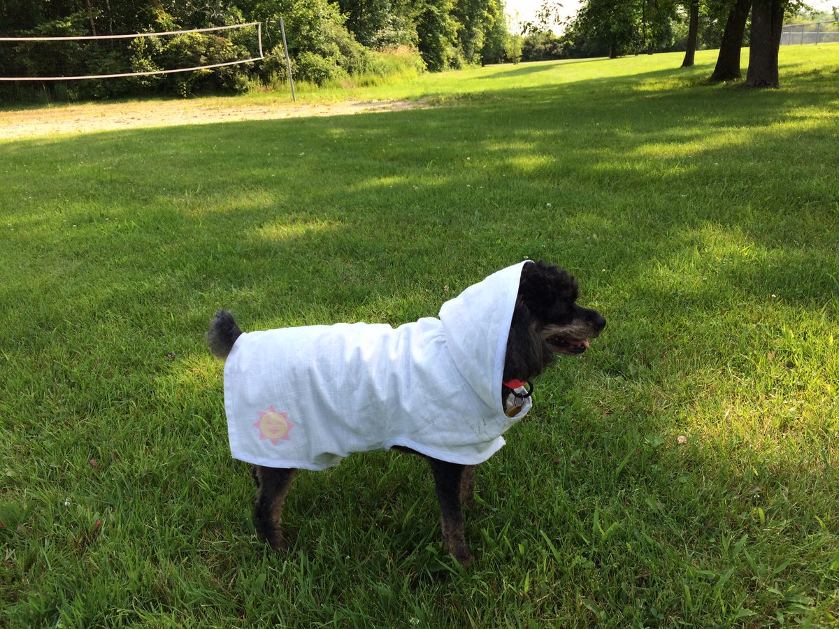 @marcthevet @PeterEgan6 @BritishVets @thebsava @_AnimalAdvocate @Gailporter @Animal_Watch @RSPCA_official @ProtectWldlife @NickTaylorLLB @AllDogsMatter White with a peak to keep the head cool…