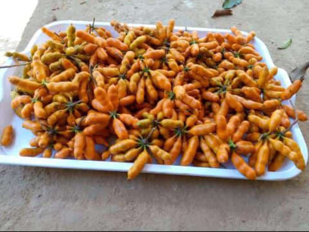 GideonKimaiyo_'s tweet photo. This is some elite wild fruit...Mnaijua? https://t.co/RvhDcdzzbe