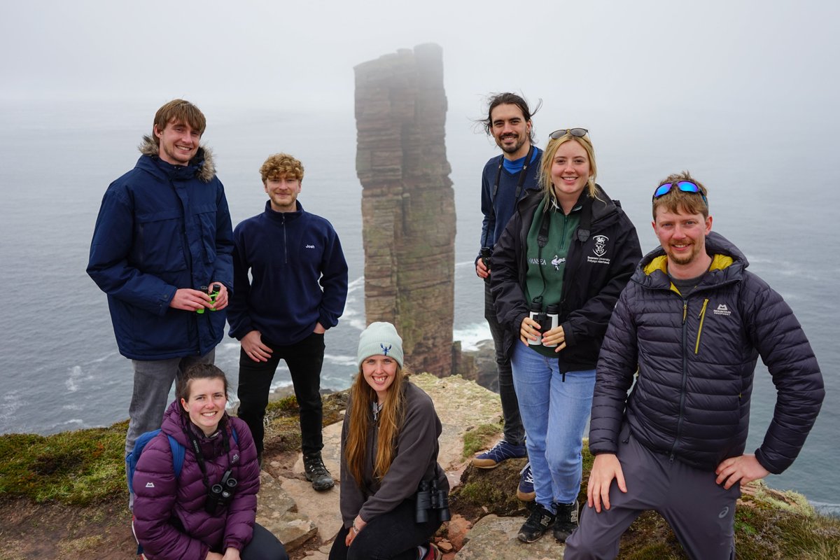 What a productive #summer it has been so far (And it's only June!) 💪🤟 Spending a frantic May setting up #coastal #experiments and #surveys in the #Orkney isles and June across South #Wales, I couldn't be more proud of the @BefScale #team! 🌊🪸🌊#teamseaweed #kelp @SwanseaUni