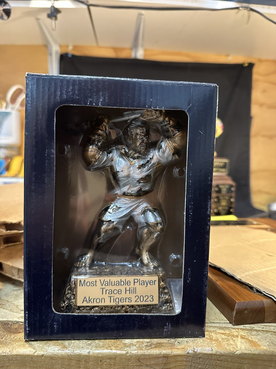 laxsp's tweet image. Tournament awards for PA! #wedoitall