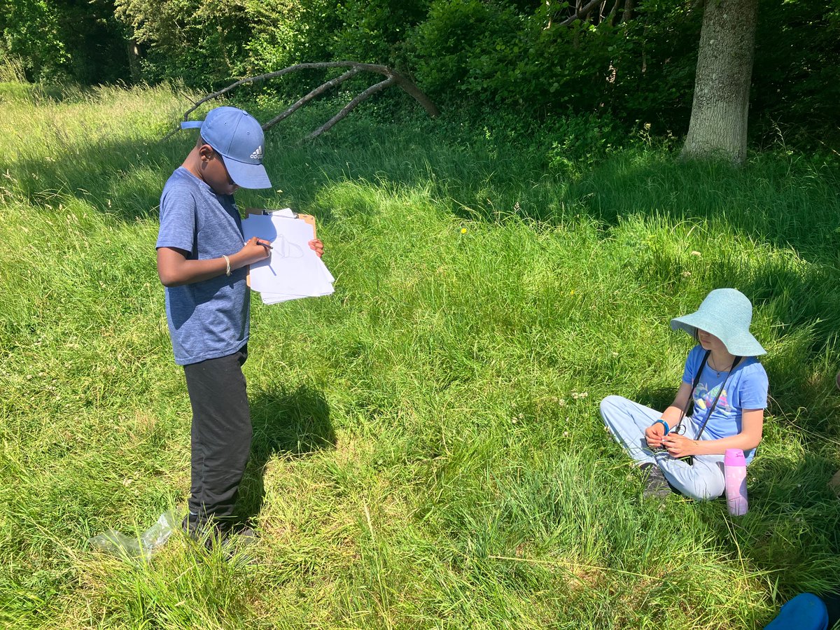 Portrait sketching out on the sunny field.