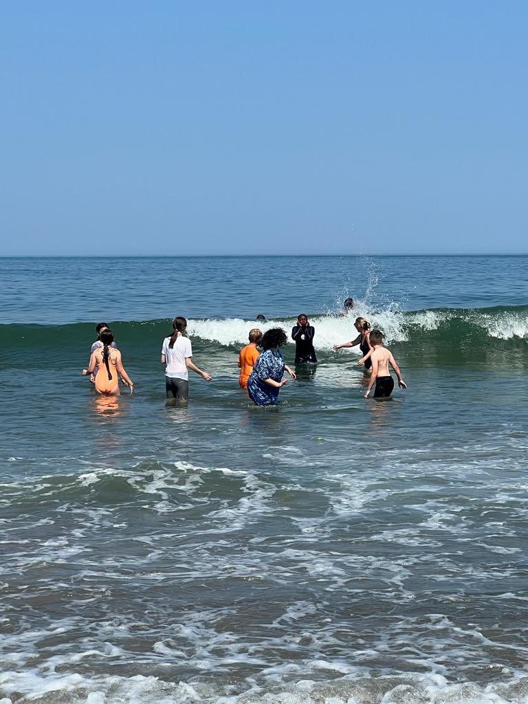 Peter Lea Primary tweet media