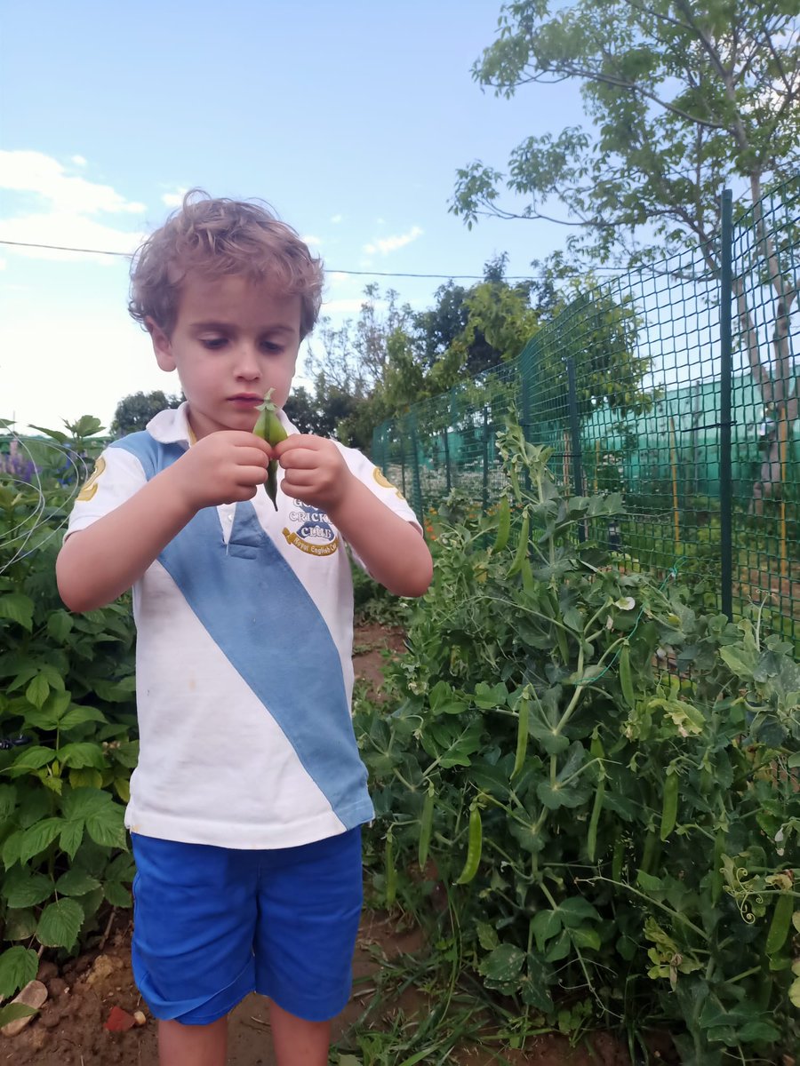 ,y lafuerzadenuestrofutbol.laliga.com/countdown?utm_…