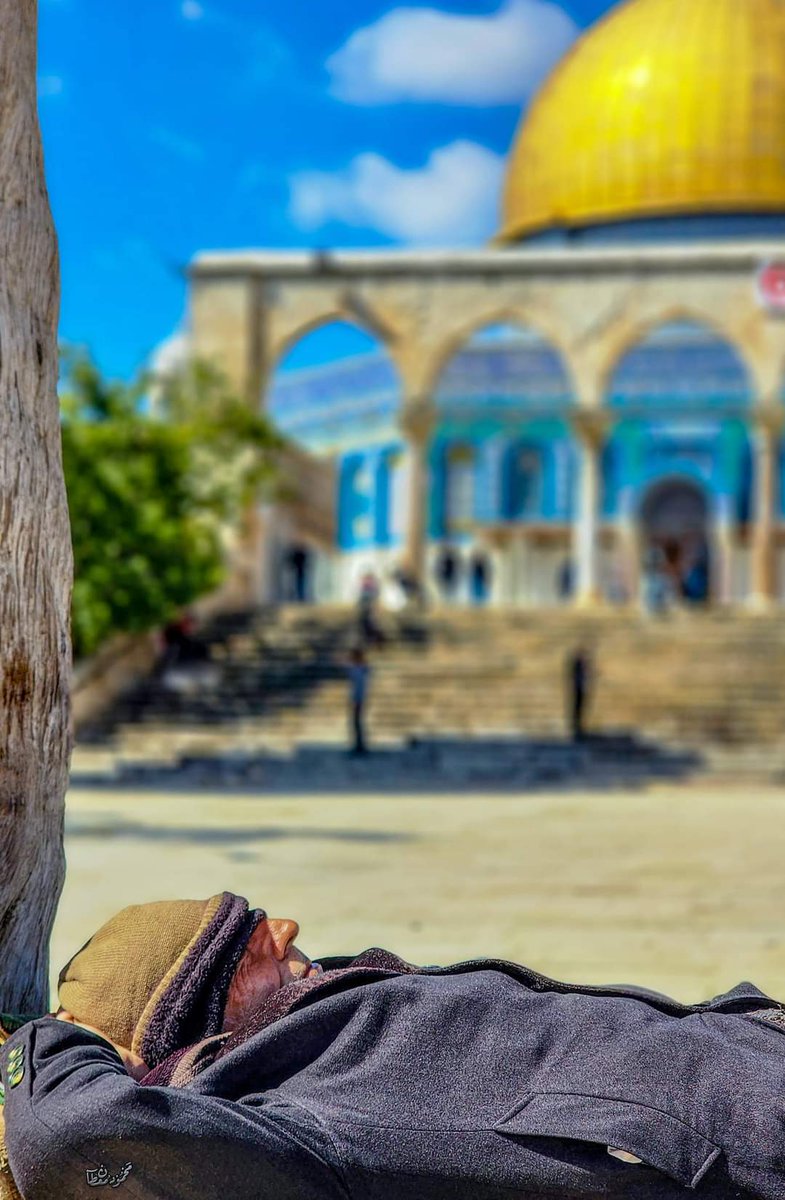 hureyaksa's tweet photo. نم قرير العين، فهذه أرضك، وهذا مسجدك ❤️💪 https://t.co/hbERNI6u1r