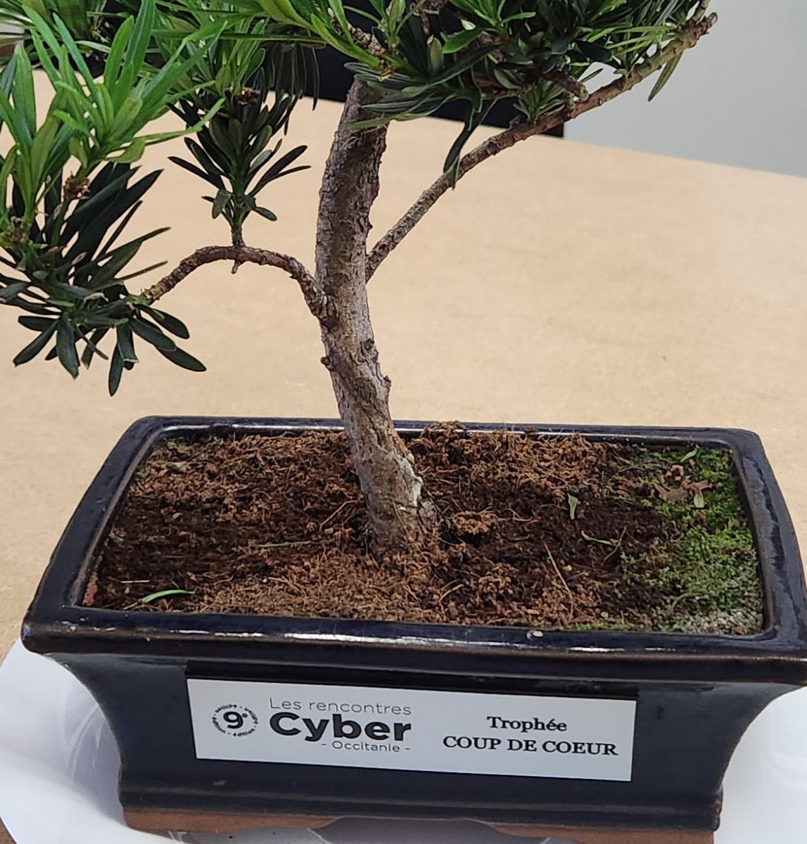 La <a href="/Gendarmerie/">Gendarmerie nationale</a> mise à l'honneur lors de la 9ème édition des Rencontres Cyber Occitanie #RCO2023. Le trophée "coup de cœur" pour le stand de prévention cyber. Démonstration d'une attaque par ransomware, pré-diagnostic élémentaire, quizz et jeux (merci <a href="/BastienSnz/">Ntech 4n6</a>).