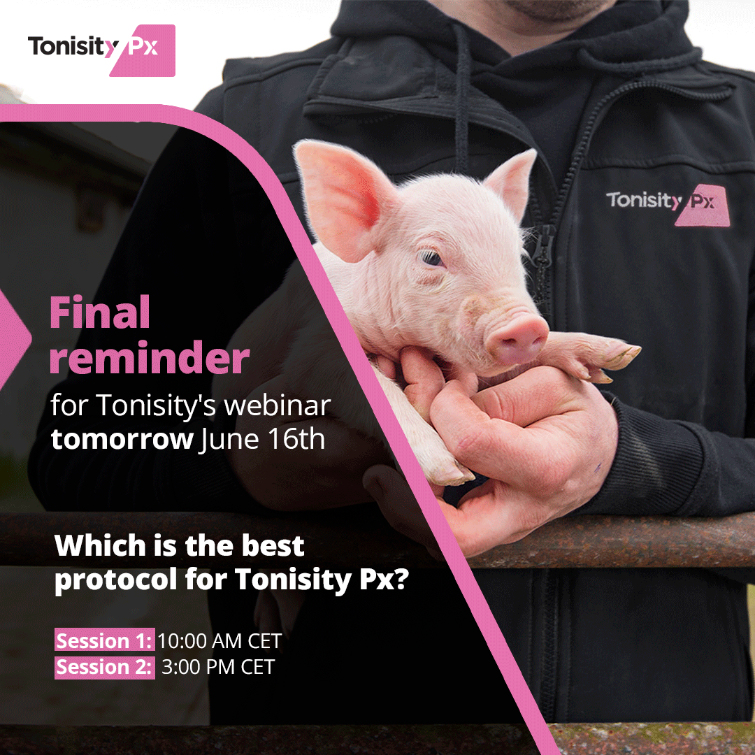 GetTonisity's tweet photo. Last chance to sign up for Tonisity's webinar tomorrow 

We will have two sessions, choose the best one for you.
📷 Session 1- https://t.co/cT6ezrL4nr
📷 Session 2:  - https://t.co/nuIaNy34eJ https://t.co/2EAMipb8VB