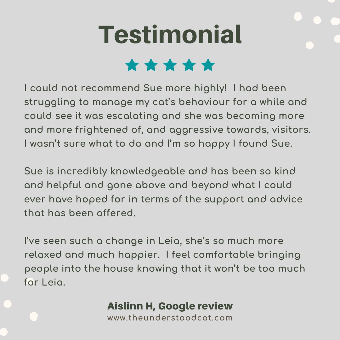 I love it when a behaviour plan comes together resulting in a happy cat and a happy client #testimonial #clienttestimonial #cats #felines #catadvice #catwelfare #catwellbeing #catbehaviour #catbehaviourist #theunderstoodcat