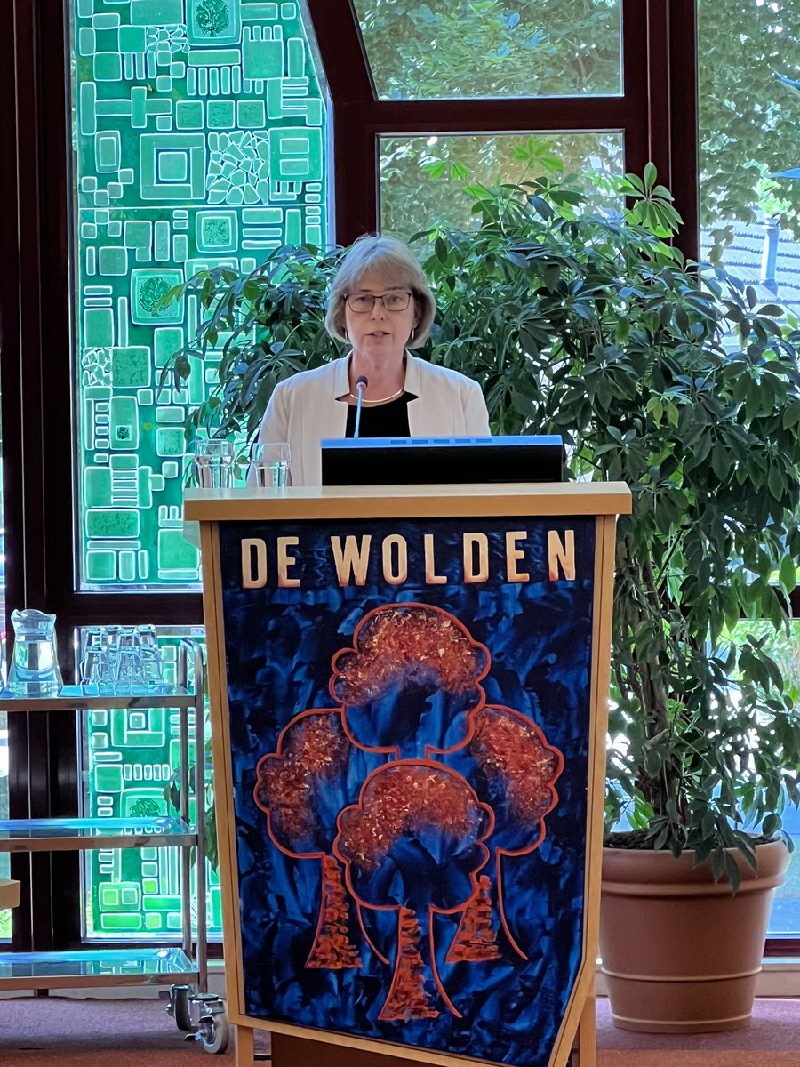 Raad De Wolden tweet media