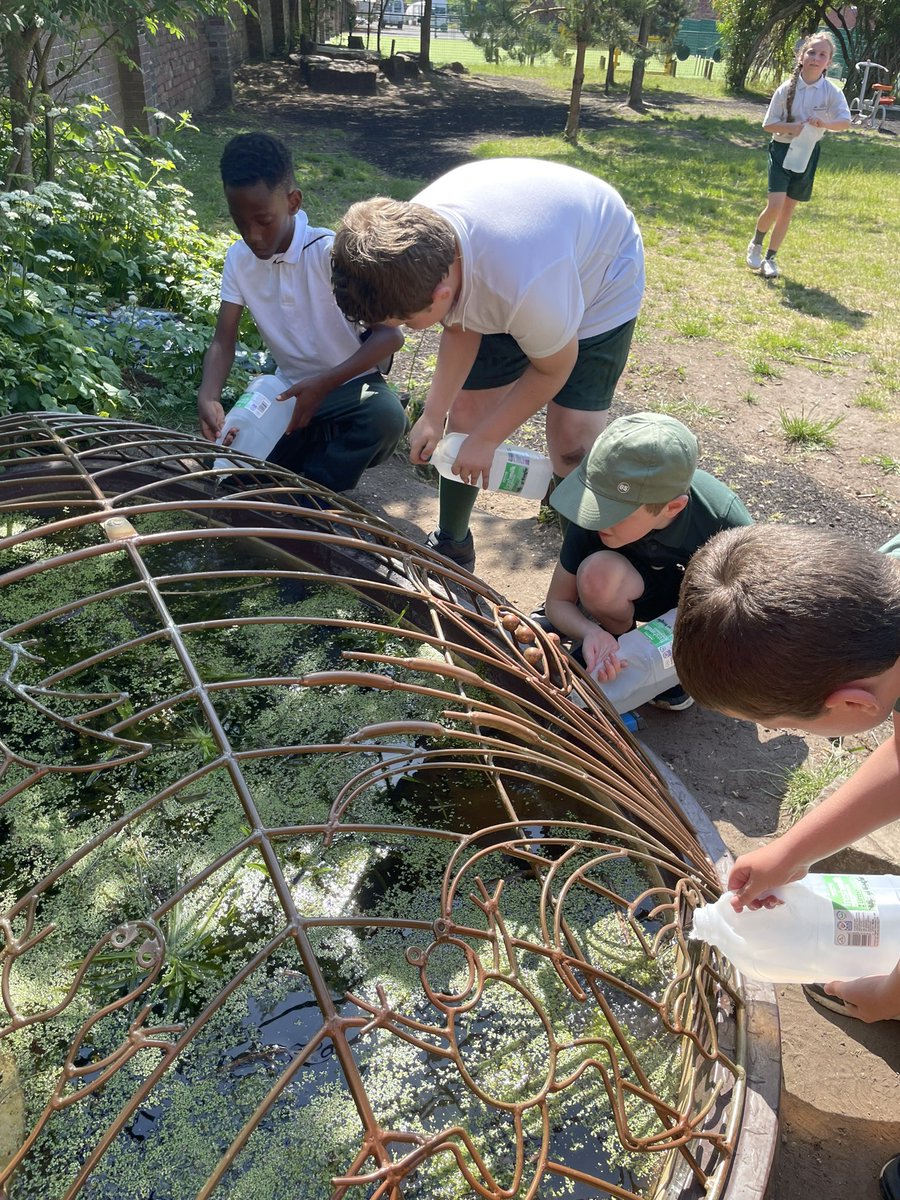 Gardening Club looking after our pond! <a href="/st_patricks/">St Patricks Primary</a>