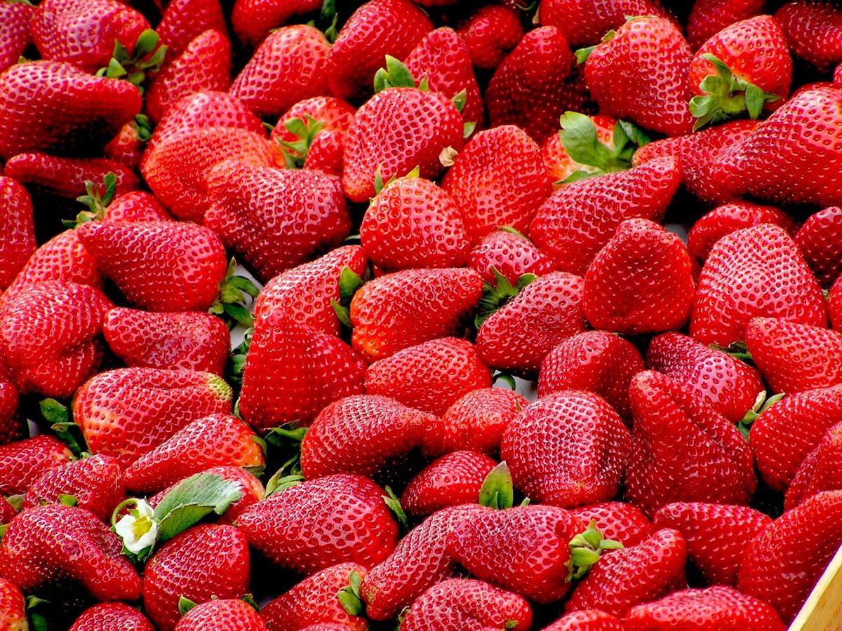 Can't beat a British strawberry...