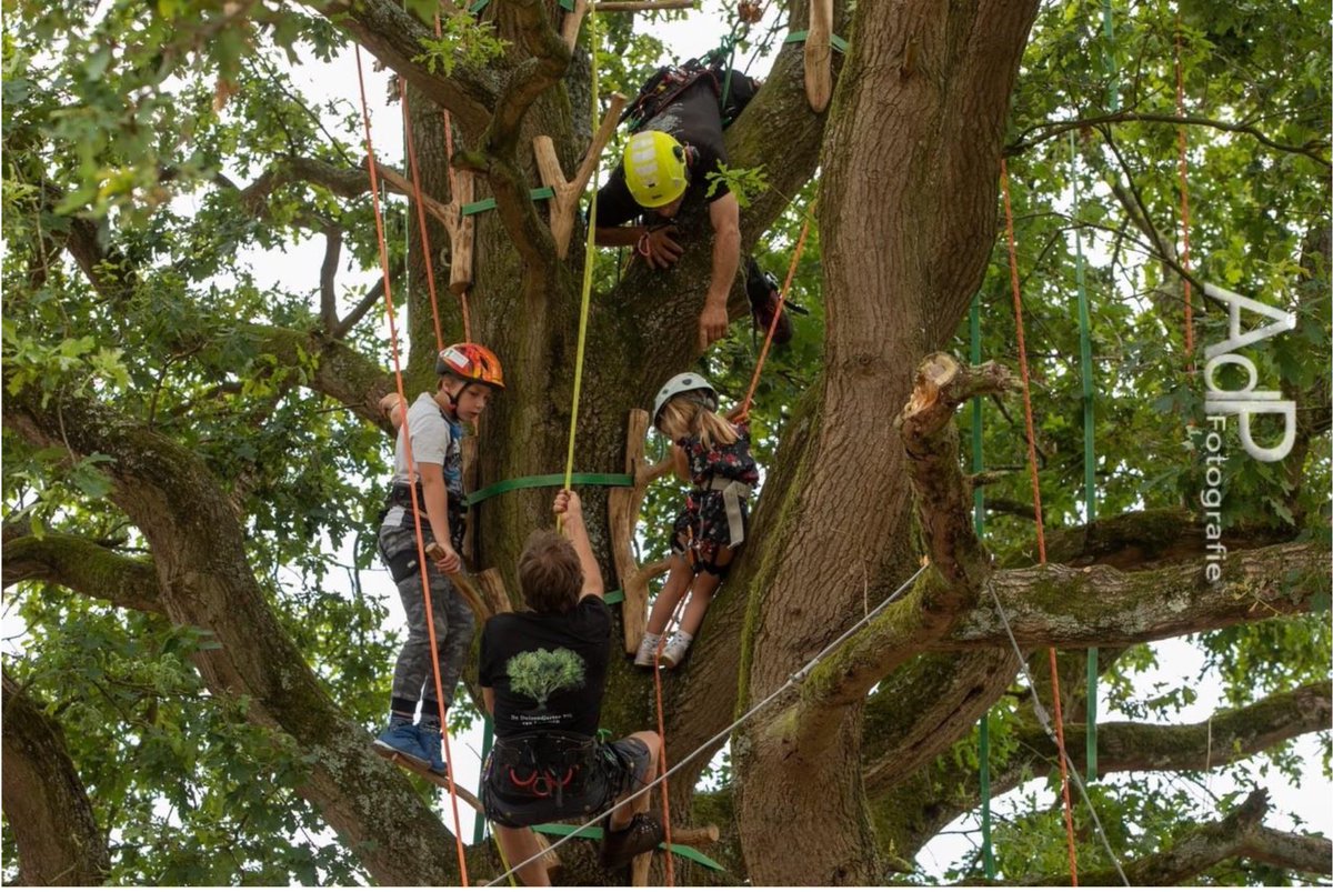 Op 25 juni tijdens Proef! de Plantage kunnen kinderen (6-12 jaar) boomklimmen in de #Wereldboom. Er wordt een klimparcours gemaakt in de boom en aan het einde mag je abseilen. Begeleiding is door 4 professionele boomklimmers. Er wordt gebruik gemaakt van veiligheidsharnasjes